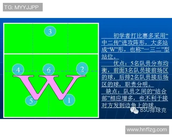 上海排球队中路突破分析与战术反思探讨